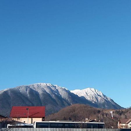 Piatra Craiului Residence Zărneşti Exteriér fotografie